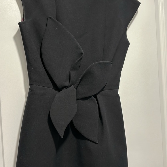 Ted Baker dress - Picture 5 of 12